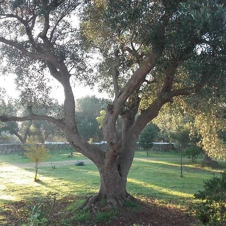 Sol Invictus Est Βίλα Serranova Εξωτερικό φωτογραφία